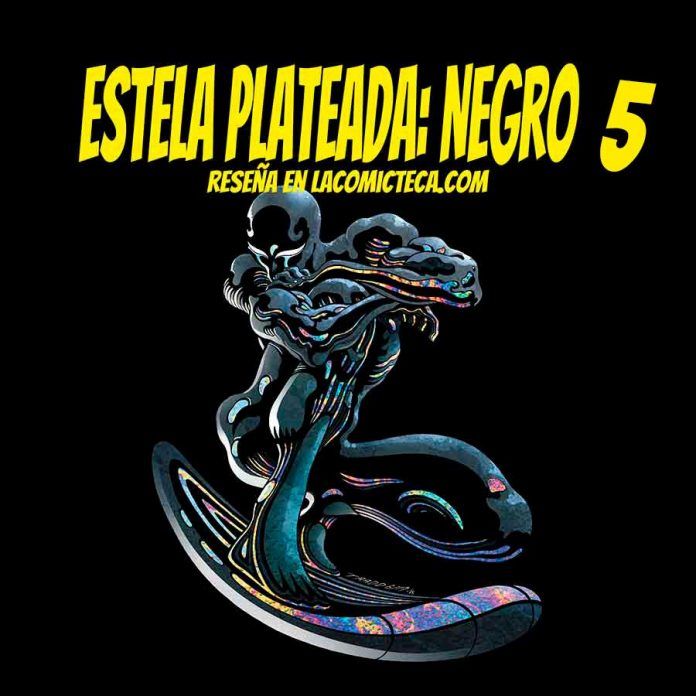 Estela plateada Negro 5