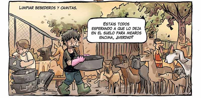 Refugio