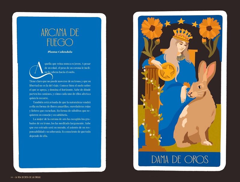 La vida secreta de las brujas
