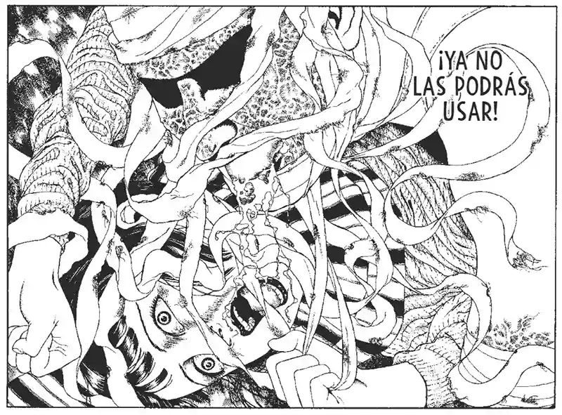 Midori: La niña de las camelias